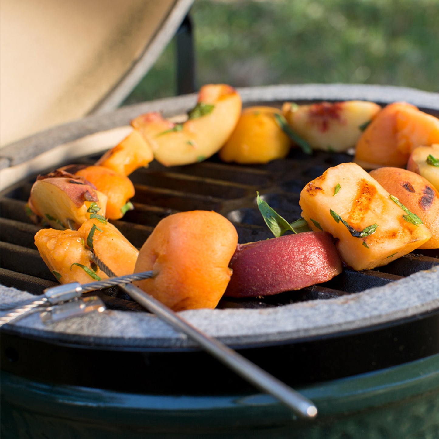 Big Green Egg 2er Set Flexible Grillspieße
